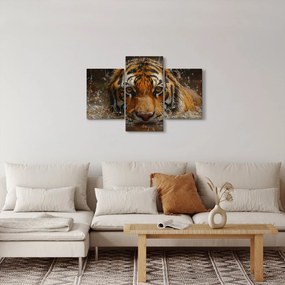 Obraz - Portrét tigra vo vode (90x60 cm)
