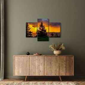 Obraz - ihličnany (90x60 cm)