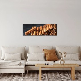Obraz škorice (s hodinami) (90x30 cm)