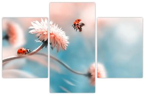 Obraz - Lienky na kvete (90x60 cm)