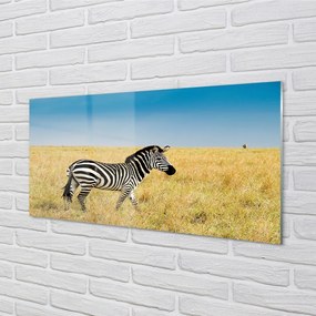 Sklenený obraz Zebra box 100x50 cm