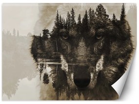Gario Fototapeta Vlk na pozadí jazera Materiál: Vliesová, Rozmery: 200 x 140 cm