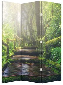 Paraván - Drevené schody v lese (126x170 cm)