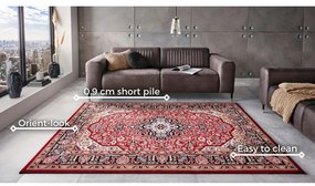 Červený koberec Nouristan Skazar Isfahan, 160 x 230 cm