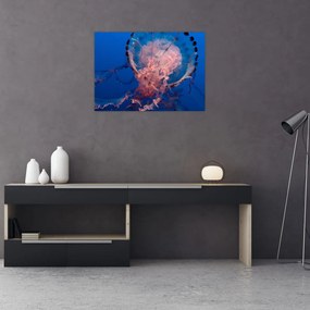Sklenený obraz medúzy (70x50 cm)