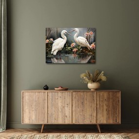 Obraz - Žeriavy biely (70x50 cm)