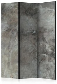 Paraván - Hail Cloud [Room Dividers] Veľkosť: 135x172, Verzia: Obojstranný