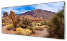 Obraz plexi Hory rastliny skaly krajina 125x50 cm