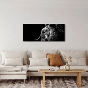 Obraz - Lev, čiernobiela (120x50 cm)