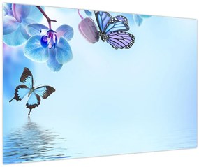 Obraz - Motýľ na kvetoch orchidey, modrý (90x60 cm)