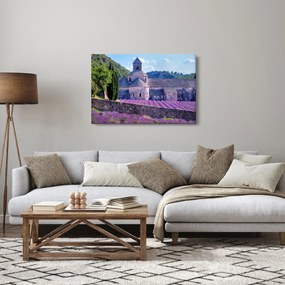 Obraz - Levanduľové pole (90x60 cm)