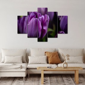 Obraz kvetov tulipánov (150x105 cm)