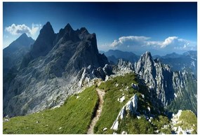 Fototapeta Vliesová Alpy slovinsko 312x219 cm