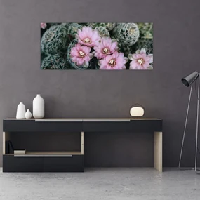 Obraz kvet kaktusu (120x50 cm)