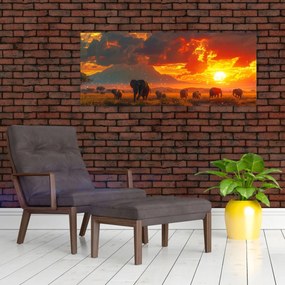 Obraz - Stádo slonov (120x50 cm)