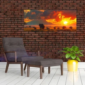 Obraz - Stádo slonov (120x50 cm)