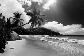 Samolepiaca fototapeta nádherné Seychely v čiernobielom prevedení