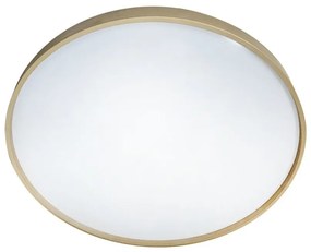 LED Stmievateľné stropné svietidlo DRINA LED/36W/230V 2700-6500K +dálkové ovládanie