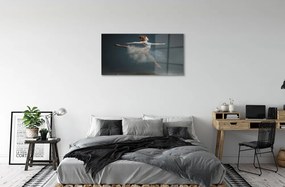 Sklenený obraz balerína dym 140x70 cm