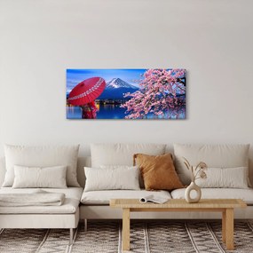 Obraz - Výhľad na vrchol, Japonsko (120x50 cm)
