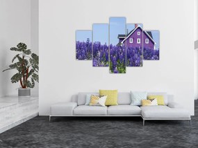 Obraz levanduľového poľa (150x105 cm)