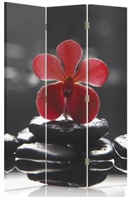 Ozdobný paraván Kamenná orchidej - 110x170 cm, trojdielny, obojstranný paraván 360°