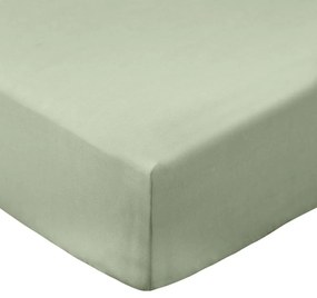 Zelená napínacia plachta z bavlneného perkálu 90x190 cm Cotton Percale – Bianca