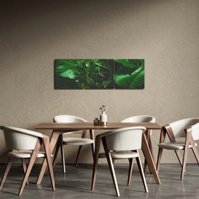 Obraz - Palmové listy (s hodinami) (90x30 cm)