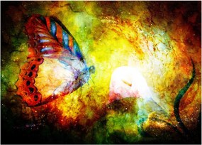 Obraz - Kozmický motýľ (70x50 cm)