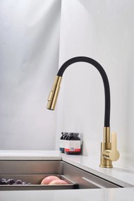 Gamma Flex 4000, stojanková drezová batéria s flexibilným ramenom, 2-funkčný výtok, čierna-zlatá matná, GMA-BFX-4000BGD