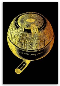 Gario Obraz na plátne Zlatá anatómia, oko - Gab Fernando Rozmery: 40 x 60 cm