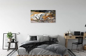 Obraz na plátne ležiace tiger 140x70 cm
