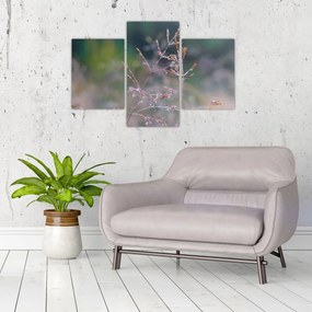 Obraz - Detail traviny (90x60 cm)