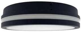 LED Kúp. stropné svietidlo ELLÉ LED/24W/230V 3000/4000/6500K pr. 26 cm IP54 ant