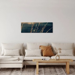 Obraz tráv (s hodinami) (90x30 cm)