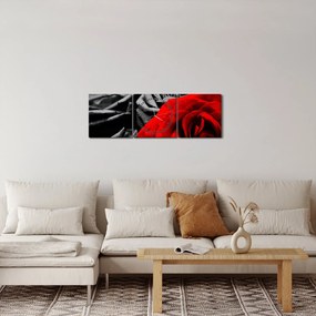 Obraz - Kvety ruží (s hodinami) (90x30 cm)