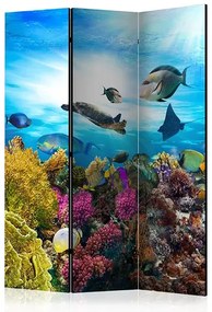 Paraván - Coral reef [Room Dividers] Veľkosť: 135x172, Verzia: Jednostranný