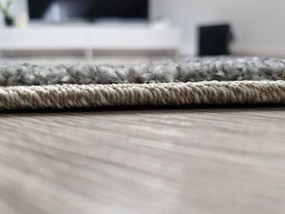 Dekorstudio Moderný koberec do obývačky VILLA - vzor 55 Rozmer koberca: 160x220cm