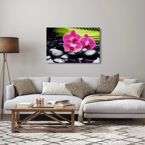 Obraz - Ružové orchidey s palmovým listom (90x60 cm)