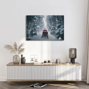 Obraz santova vianočná cesta lesom