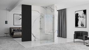 Posuvná bezrámová sprchová zastena REA CORTIS 120 cm, chróm/transparent - bez vaničky