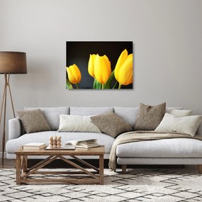 Sklenený obraz tulipánov (70x50 cm)