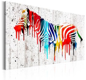 Artgeist Obraz - Colourful Zebra Veľkosť: 120x80, Verzia: Na talianskom plátne