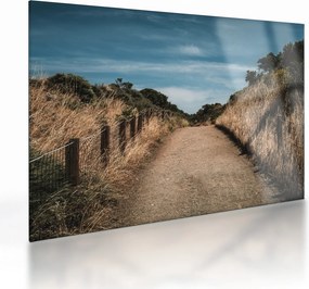Sklenený obraz - Na chodníku (70x50 cm)