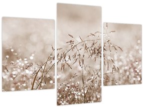 Obraz - Lúka v hnedých tónoch (90x60 cm)