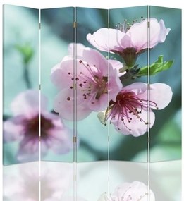 Ozdobný paraván Růžový květ jabloně - 180x170 cm, päťdielny, klasický paraván