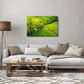 Obraz - Ryžové terasy (90x60 cm)