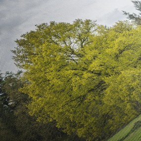 Obraz zeleného stromu uprostred poľa (90x60 cm)