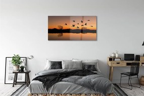 Obraz na akrylátovom skle Lietajúce vtáky sunset 125x50 cm