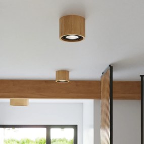 Sollux Lighting Stropné svietidlo BASIC 2 prírodné drevo